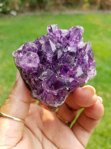 Uruguayan Dark "Grape Jelly" Amethyst Clusters