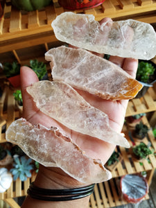 Golden Selenite Blades (Medium)