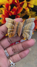 Load and play video in Gallery viewer, Pretty Stone Butterflies (Lot 2)
