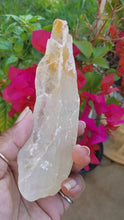 Load and play video in Gallery viewer, Golden Selenite Blades (Large)
