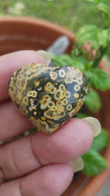 Load and play video in Gallery viewer, Mini Ocean Jasper Hearts (Lot 5)
