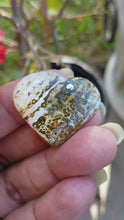 Load and play video in Gallery viewer, Mini Ocean Jasper Hearts (Lot 2)
