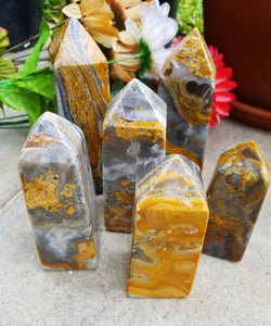 Fantastic Bumblebee Onyx Towers