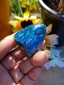 Blue Apatite Tumbles