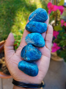 Blue Apatite Tumbles