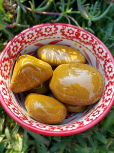 Deep Medallion Yellow Jasper Palm Stones