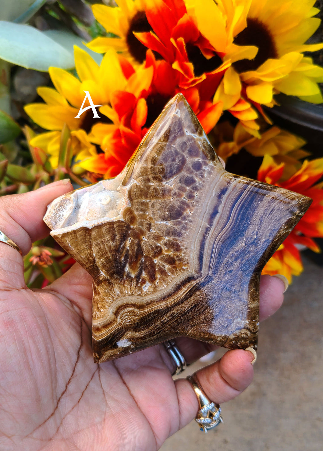 Chocolate Calcite Stars (Lot 1)