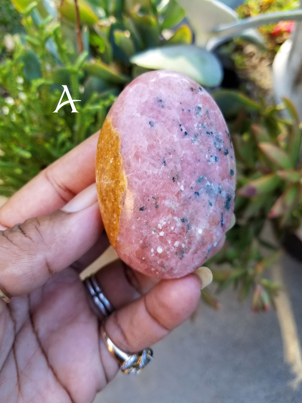 Guava Cipolin Palm Stones