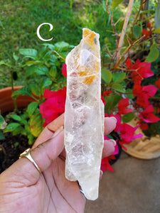 Golden Selenite Blades (Large)