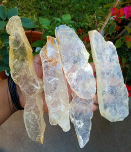 Golden Selenite Blades (Large)