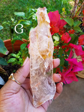 Load image into Gallery viewer, Golden Selenite Blades (Large)
