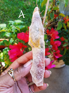 Golden Selenite Blades (Medium)