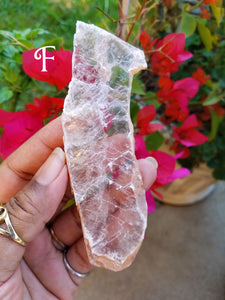 Golden Selenite Blades (Medium)