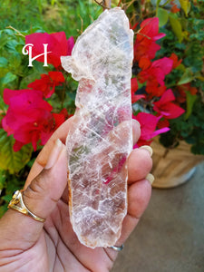 Golden Selenite Blades (Medium)