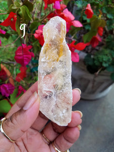 Golden Selenite Blades (Medium)