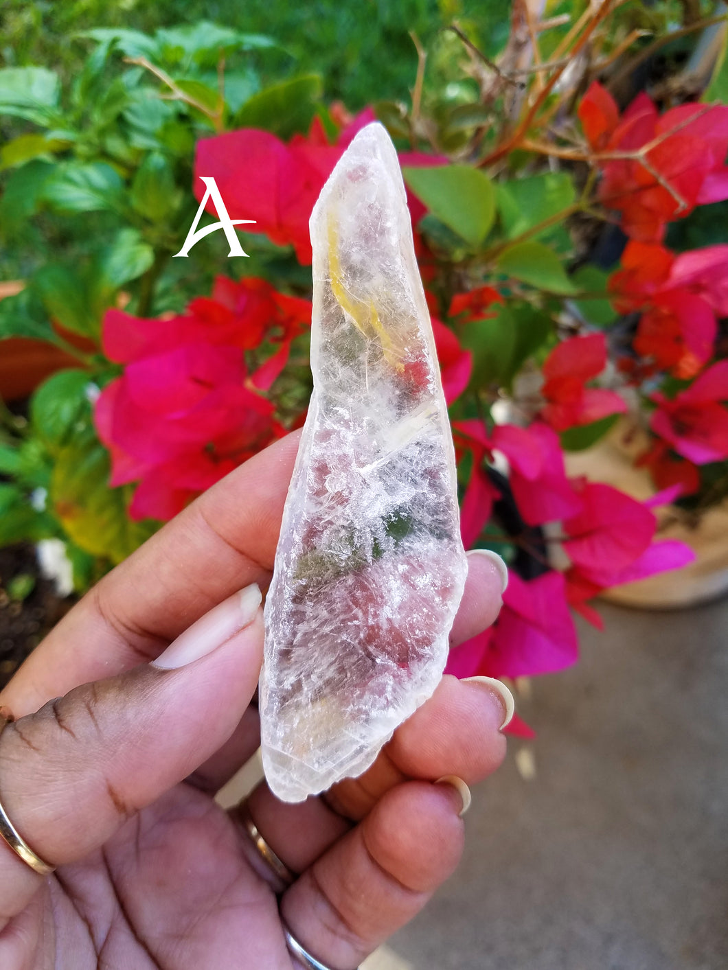 Golden Selenite Blades (Small)