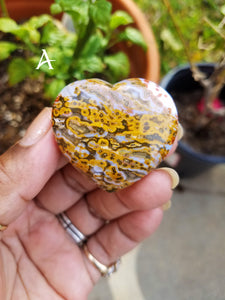 Mini Ocean Jasper Hearts (Lot 5)