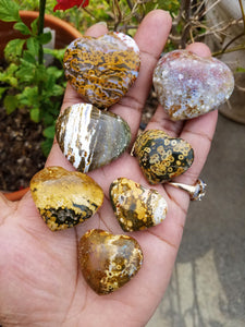 Mini Ocean Jasper Hearts (Lot 5)