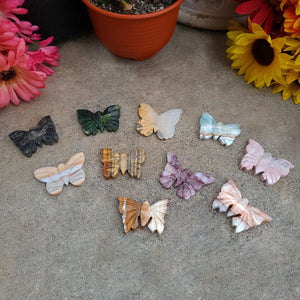 Pretty Stone Butterflies (Lot 1)