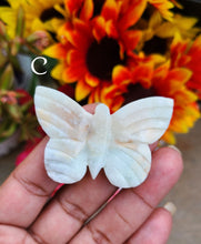 Load image into Gallery viewer, Pretty Stone Butterflies (Lot 2)
