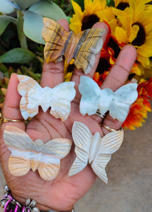 Pretty Stone Butterflies (Lot 2)