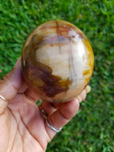 Load image into Gallery viewer, Petrified Wood (Mineralized Fossil) Palm Stones
