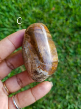 Load image into Gallery viewer, Petrified Wood (Mineralized Fossil) Palm Stones
