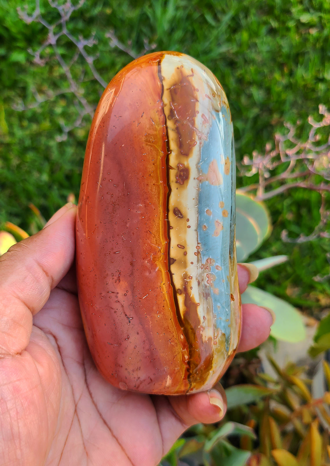 Polychrome Jasper Freeform (0.93lbs)