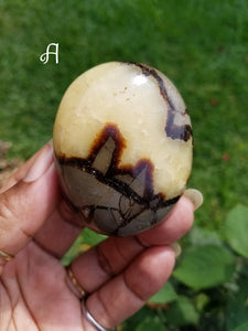 Septarian "Dragon Egg" Palm Stones