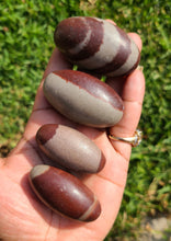 Load image into Gallery viewer, Shiva Lingam Stones (Medium)
