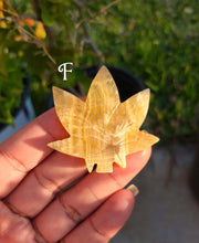 Load image into Gallery viewer, Sycamore Crystal Leaf Carvings
