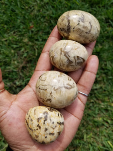 Zebradorite Palm Stones