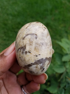 Zebradorite Palm Stones