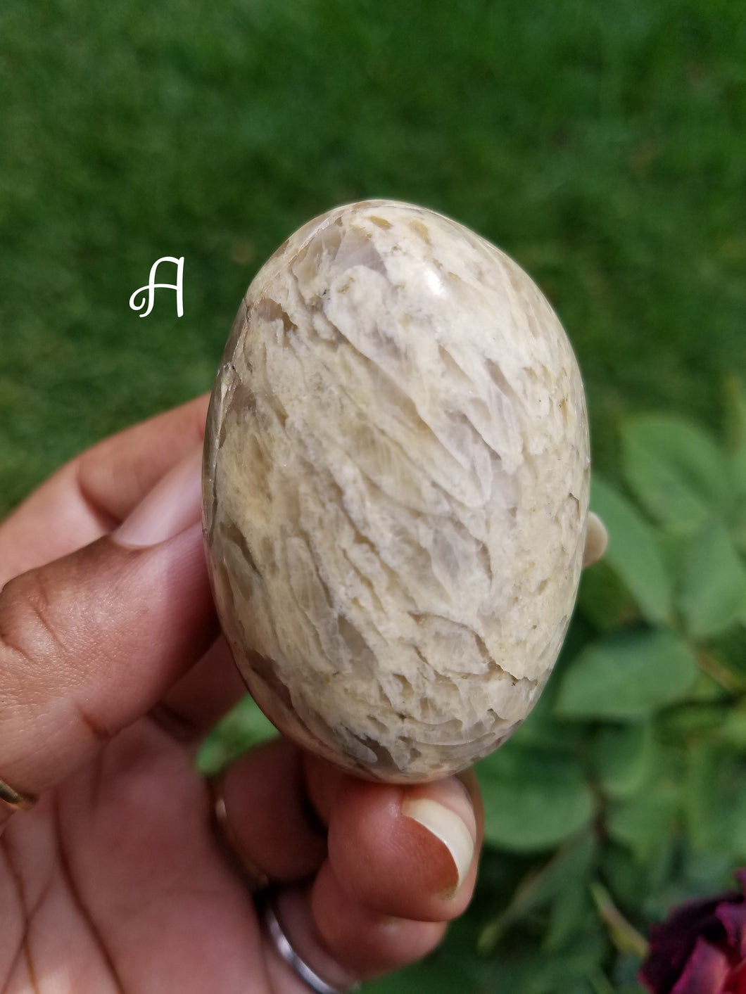 Zebradorite Palm Stones