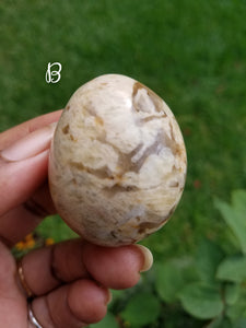 Zebradorite Palm Stones