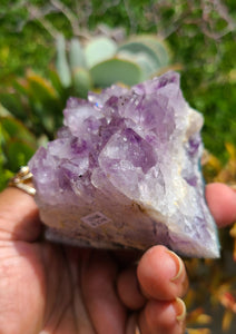 Brazilian Amethyst Cut Bases (Raw) - Lot 1