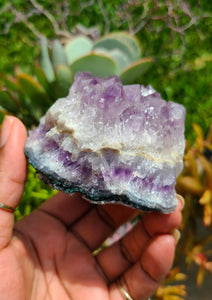 Brazilian Amethyst Cut Bases (Raw) - Lot 1