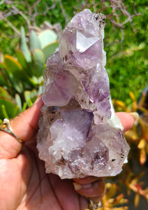 Brazilian Amethyst Cut Bases (Raw) - Lot 2