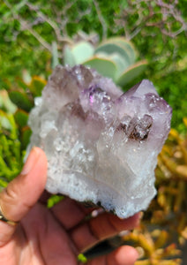 Brazilian Amethyst Cut Bases (Raw) - Lot 2