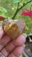 Load and play video in Gallery viewer, Mini Ocean Jasper Hearts (Lot 6)
