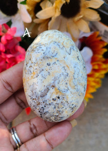 Dendritic Opal Palm Stones