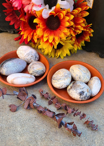 Dendritic Opal Palm Stones