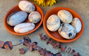 Dendritic Opal Palm Stones